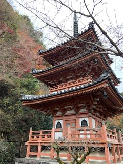 紅葉には遅いけど 宇治周辺の観光地へ 前編 京都郊外編 宇治 京都 の旅行記 ブログ By にふうささん フォートラベル