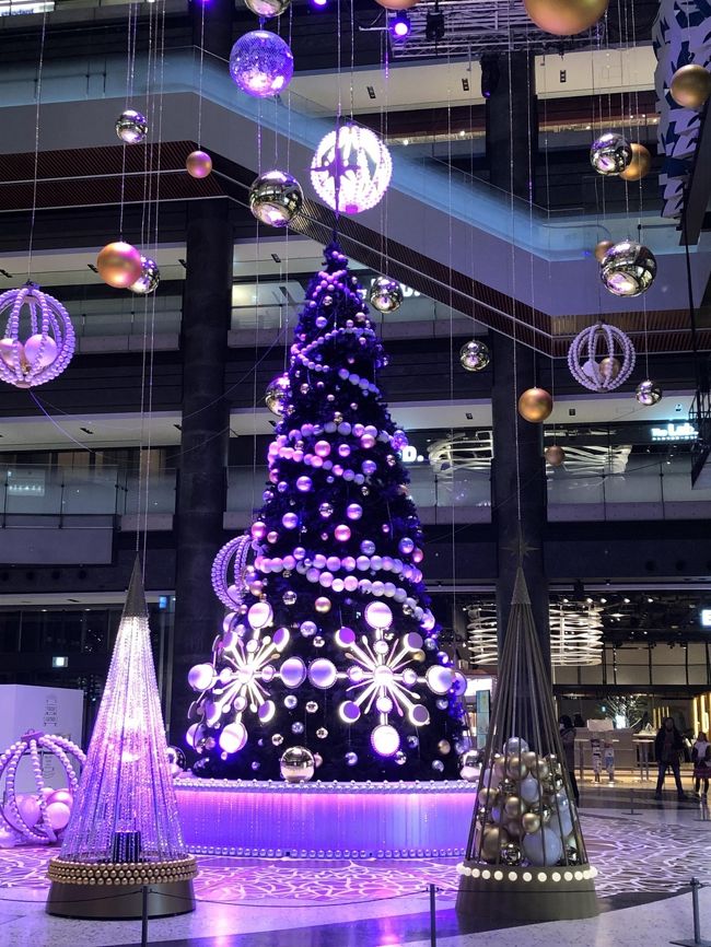 クリスマスが近づくと共に、イルミネーションの情報が多くなってきます。<br /><br />昨年大阪グランフロントで見たツリーが綺麗だったので、今年も出かけることといたしました。<br />　＊昨年の旅行記↓<br />　　https://4travel.jp/travelogue/11423405<br /><br />ランチは同窓会報で気になっていた、梅田の学生食堂のバイキングに行ってきました。<br />綺麗な食堂と街中のキャンパス、私が市バスで通っていた時代の、古い食堂との違いを痛感し、齢を再認識しました。<br />高層の建物から下を見ると、気になっていた神社があり、参拝してきました。<br />私達夫婦、最近特に歯の衰えが顕著で、頼れるものは神頼みとお参りをして、大阪駅前から御堂筋、新しくなったホワイティうめだ 泉の広場、グランフロントから新梅田シティのイルミネーションを楽しみ、夕食はグランフロントの宮崎料理のお店で頂きました。<br /><br />また、日を改めてもう1社、歯の寿命アップを重ねてお願いしてきました。<br /><br />2019年12月の街歩きです。