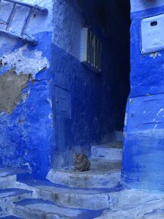 2019・秋のモロッコ旅行　その３-1、青い蒼い碧い街