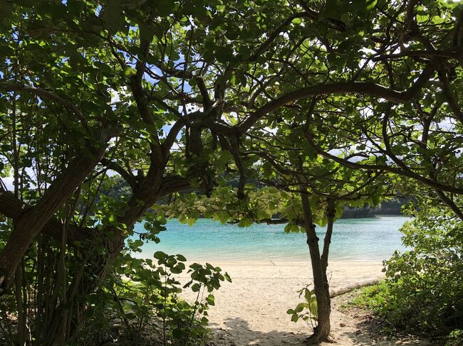 石垣島って行ったことある?<br />僕はダイビングで行ったことがあるんだ。とっても海がきれいで、雰囲気もすごくいいんだ。のんびりしていて…いつか一緒に行こうね。<br /><br />そう言ってコツコツと貯めていた「石垣島貯金」。<br />それは私の引っ越し代になりましたが、もったいなくて手をつけていませんでした。<br /><br />バディがいなくなった今、ダイビングはできないけれど、石垣島にはきてみたかった。<br /><br />そんなこんなで二日目です。