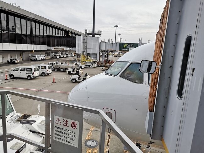 水曜、成田空港第１ターミナル、２０１９年〆の旅です。<br /><br />といっても、いつものＬＣＣのプロモーション・チケット、いつものソウルで代わり映えはしません、<br />ブログのネタ的にも毎回同じで、呆れて飽きられ厭きられているかもしれないです。<br />肝心の旅ネタ、全然更新してないし。<br /><br />１１月からこっち、「毎月ソウル」を超え、もはや「隔週ソウル」というタイミングになってます。<br />というのも安いチケットが転がっているとつい買ってしまうバカ旅行者だからですね。<br />前回同様、エアソウルのプロモーション・チケット、「片道２，０００円」というヤツ。<br />https://delfin3.blog.ss-blog.jp/2019-11-20　（１１月の毎月ソウル）<br /><br />内訳はこんな感じ。<br /><br />航空券代金　　　　4,000（2,000x2）<br />燃油サーチャージ　1,600<br />空港使用料他　　　6,240（3,660 JPa/p＋2.580 KRa/p）<br />-----------------<br />合計　　　　11,840円<br /><br />赤い電車が成田空港まで２時間半で２，０００円ちょっとの金額、<br />ソウルまでのフライトが２時間半で２，０００円って、どういうこと？<br /><br />もちろんフライトには別途、空港使用料がかかりますけど、日本の鉄道高すぎ問題、<br />「公共」交通機関なのにね、誰も抗わず・・・<br /><br /><br />つづきはおんたいむソウル<br />https://delfin3.blog.ss-blog.jp/2019-12-11