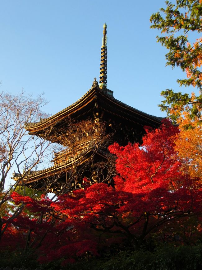 2019京都の紅葉⑥　「南禅寺」「哲学の道」「真如堂」の紅葉
