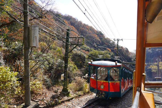 紅葉まだ残ってるかなと、天気がよかったので裏山（六甲）をちょこっと散歩して銭湯（有馬）に入ってきました。