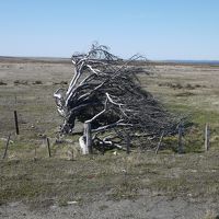 ここは地の果てパタゴニア、風の大地、なんにもないけど豊かな大自然が溢れている。