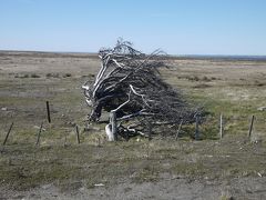 ここは地の果てパタゴニア、風の大地、なんにもないけど豊かな大自然が溢れている。