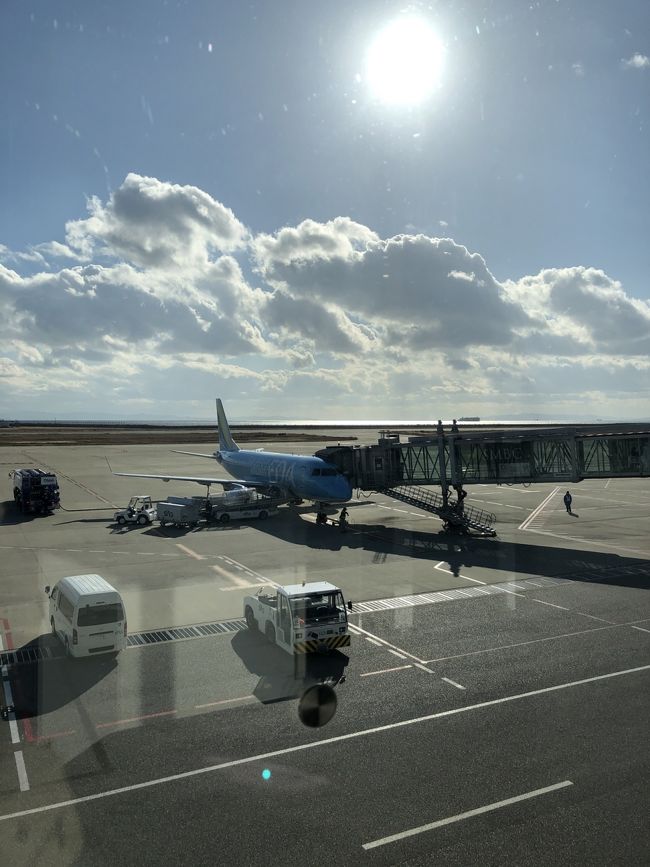この冬、松本空港から神戸空港への就航決定!<br />新幹線と金額変わらないし、これは利用するっきゃない!<br /><br />我が家の旅行はディズニーが多いのですが、私はディズニーを旅行とカウントしていないので(笑)、久しぶりの旅行、楽しみにしていました(´∀`)<br /><br />主な観光(神戸どうぶつ王国など)は2日目です。<br /><br />【旅費概算】大人×2、子供×1(3歳児)<br />・飛行機(松本ー神戸):70,000円(ひょこっとe割)<br />・ホテル(大人2人 2泊):30,000円<br />・当日:4万円<br />⇒総額 約14万円の旅行となりました!