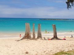 ハワイオアフ島旅行記2019～4日目～レンタカーで大好きな場所巡り～