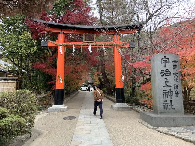 今年は紅葉が遅いので、12月に入ってさすがに紅葉は終わりかけだけど、まだ残っているかなあという希望的観測や、京都の定期観光バスを使って宇治方面へ行ってきました。定期観光バスの行程では、京都駅烏丸口を出発後、勧修寺、醍醐寺三宝院、萬福寺と訪問し、萬福寺の食堂で食事。午後からは、三室戸寺に行った後、宇治散策ということで、平等院鳳凰堂の中で解散し、およそ60分の自由時間ののちに、京都駅まで帰るという行程です。宇治方面は、私はほとんど行ったことのないお寺だったので、紅葉がなくても参加して非常に良かったです。<br />感想は2点ほど。紅葉は、さすがに12月なので終わりかけで、あと1～2週間早ければちょうど見ごろという状況でした。また、宇治は日本の国内外の観光客が非常に多く、オーバーツーリズムみたいな感じになっているのが残念だったなあ感じです。<br />日帰りでしたが、予想以上に長くなったので、2回に分けました。今回は、宇治散策編として、平等院鳳凰堂や、宇治神社・宇治上神社、聖興寺などに行った時のことをご紹介したいと思います。