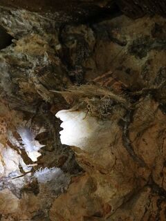 夫婦旅行No4(Jenolan caves Tour)
