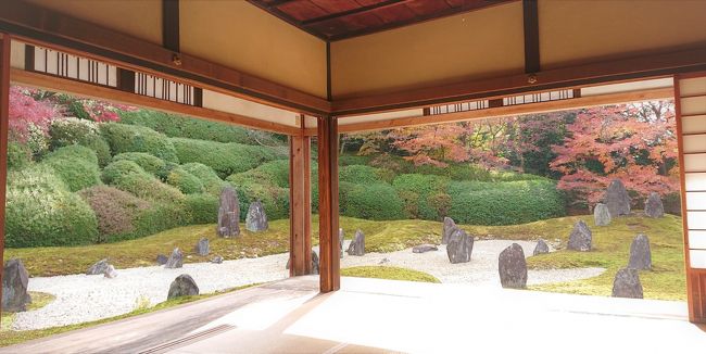 中心部には12月上旬に盛りを迎えるモミジもあるらしい。9割方が散ってしまった季節に、のびのびと美しいモダン庭園で枯山水と紅葉の見事な調和に出会いました。