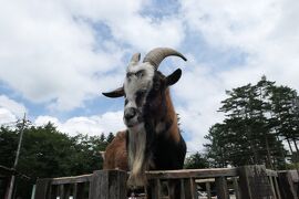 夏の軽井沢♪　Vol.3　☆北軽井沢：賑やかな浅間牧場♪