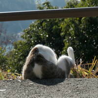 久しぶりの尾道