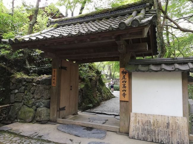 「市バスで京都を歩く」シリーズ。京都市の数多い路線バスでこれまた数多い見どころやグルメをレポートします。<br />※仕事の合間を縫って作成しているため、記事や写真は複数日にまたがっている場合があります。ご了承ください。<br /><br />★京都市を走る路線バス<br />(1)京都市営バス<br />最も主要な京都市内の交通機関。運賃230円均一の「均一系統路線」(系統番号が青地に白字で表示される。観光地を循環する100番台の楽バスも含む)、元京都市電の路線を引き継いだ「循環系統路線」(系統番号が橙地に白字で表示。201~208までのバス)、均一区間の外側を走り運賃が段階的に変わる「調整系統路線」(系統番号が白地に黒字で表示)などが運行される。<br />(2)京都バス<br />主に大原・貴船・鞍馬方面と嵐山・苔寺方面へ運行。市バスが運行されていないエリアをカバー。観光地が多いので年中混んでいる。<br />(3)京阪バス<br />主に京阪電鉄沿線で運行されている。京都市では山科区醍醐方面を網羅している。<br />(4)JRバス<br />JRが経営するバス路線。京都駅と高尾・周山を結ぶ路線がある。<br />(5)京阪京都交通<br />京都府南丹地区、向日市などで運行されており、京都駅と西京区を結ぶ路線がある。<br />(6)阪急バス<br />主に阪急沿線で運行されている。京都市では向日市と洛西ニュータウンを結ぶ路線がある。<br />(7)その他<br />プリンセスライン、ヤサカバス、京都らくなんエクスプレス、近鉄バス、京北ふるさとバスなどがエリア限定で運行されている。<br /><br />★路線バスで京都を歩く<br /><br />市バス3号系統で、壬生寺&仙堂御所&北白川仕伏町<br />https://4travel.jp/travelogue/11541933<br />市バス4号系統で、北山&IN THE GREEN&深泥池&上賀茂神社&大田神社のカキツバタ<br />https://4travel.jp/travelogue/11535778<br />市バス8号系統で高雄・高山寺<br />https://4travel.jp/travelogue/11581199<br />市バス33号系統で、桂離宮<br />https://4travel.jp/travelogue/11540307<br />市バス46号系統で、今宮神社&あぶり餅<br />https://4travel.jp/travelogue/11538678<br />市バス北8号系統に乗って、修学院離宮&妙法&北ル・アンジェ教会<br />https://4travel.jp/travelogue/11541367<br />市バス南1号系統に乗って、城南宮&パルスプラザ<br />https://4travel.jp/travelogue/11582535