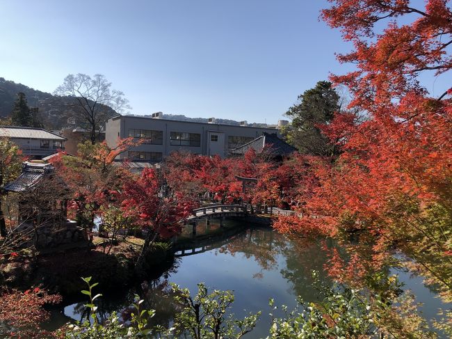 紅葉の時期に京都に行けました☆<br />ほんの少しピークは過ぎていたようですが充分赤々とした紅葉を楽しみました♪<br />京都で紅葉といえば、の永観堂、南禅寺です!