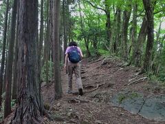 雨上がりの奥多摩・高水三山。