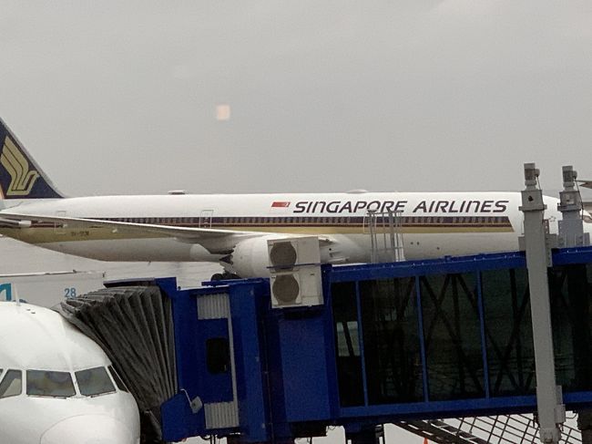 2019年末~2020年始家族旅行でシンガポールへ行く事になりました。<br />シンガポールは昨年末に来てから一年ぶりです。<br />昨年は羽田からでしたので、名古屋からシンガポールへは約2年半弱ぶりです。<br />その時は、初めての家族旅行で初めてのシンガポールという事でほとんど分からないままの旅行でした。<br />それから2回旅行し、今回で4回目のシンガポールです(^ ^)<br /><br />今回はセントレアホテルに前泊しました。また、セントレアの駐車場も予約できたのでとても助かりました。<br /><br />Wi-Fiルーターも郵送してもらったり、両替も以前行った時のシンガポールドルが残っているから出発当日の朝も何もしなくて良いので楽でした。<br /><br />毎回シンガポール航空ですが、今回もシンガポール航空です。そして、今回は初B787-10搭乗です!<br /><br />機内で楽しく過ごす事ができました。<br /><br />前泊 セントレアホテル <br />初日 フライト~到着<br />ホテル到着後 プールへ行きその後コロニーで夕食。<br /><br />12/30 NGO-SIN SQ671 B787-10<br />宿泊 リッツ・カールトンシンガポール