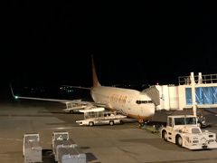 チェジュ航空 7C1281便 静岡空港から仁川国際空港