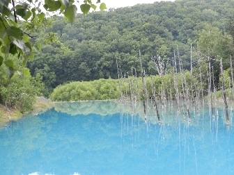 朝ドラの「なつぞら」に触発？されて、夏の北海道旅行へ3泊4日の旅。大好きな温泉巡りは、登別温泉、十勝川温泉、ニセコ東山温泉に宿泊。ずっと行きたかった美瑛の花畑や評判の青い池に訪れ、小樽の街歩きもして、満足の旅。<br /><br />1日目は、伊丹から千歳に飛んで、宿泊の登別温泉へ直行。2日目は、朝、登別の地獄谷散策。ツアーは、富良野に向かい、鳥沼公園、美瑛四季の丘、青い池、富田ファーム。宿泊は、十勝川温泉（モール温泉）。