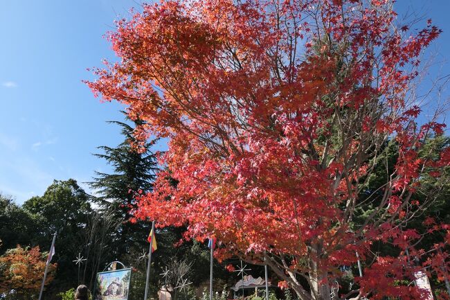 2019年11月7日-10日、山梨県の山中湖と河口湖に行きました♪<br /><br />☆Vol.1：河口湖♪<br />東京から中央高速道路で河口湖へ。。<br />お天気に恵まれて富士山がくっきり。<br />河口湖畔は紅葉が始まっている。<br />今年の紅葉は3週間くらい遅れているそう。<br />色づいた木々を車窓から眺めて♪<br />