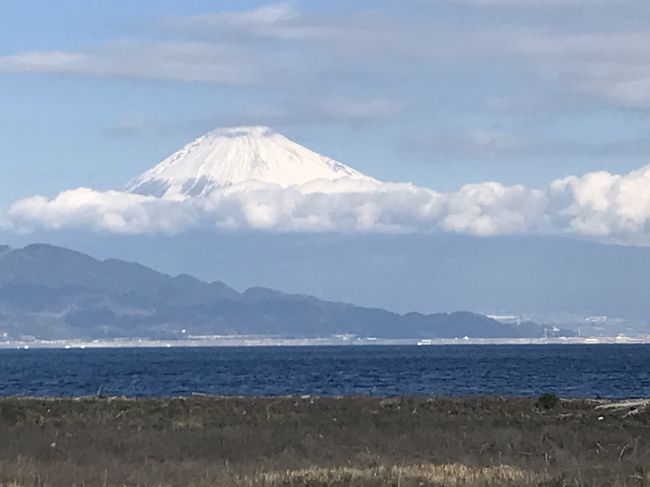 かーちゃんと長男が年末年始にかけてイギリス旅行へと出掛けてしまい留守番になってしまった私と次男坊、家でゴロゴロしているのもなんなので比較的近場で混んでなさそうな所、というわけで静岡へ一泊二日で行ってきました。<br /><br />