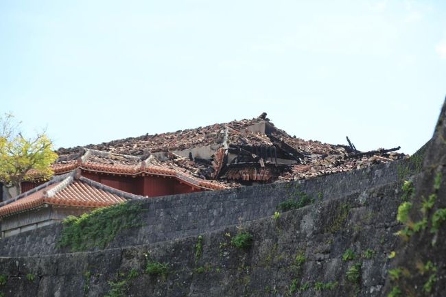 91回目の沖縄旅行に行ってきました<br />