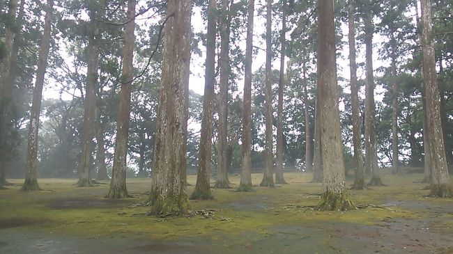 博多発飫肥散策と特急「海幸山幸」を堪能する旅（後編）