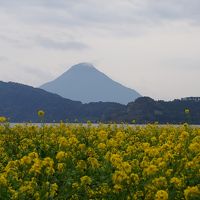 池田湖～西大山駅～鰻池～霧島神宮