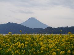 池田湖～西大山駅～鰻池～霧島神宮