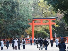 下鴨神社から糺の森や河合神社を歩く午後のひととき＋京都駅イルミネーション
