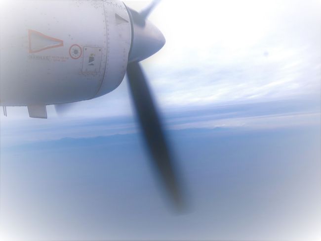 滞在23時間の伊豆大島 ただ飛行機に乗りたかっただけ 伊豆大島 東京 の旅行記 ブログ By 琉球熱さん フォートラベル