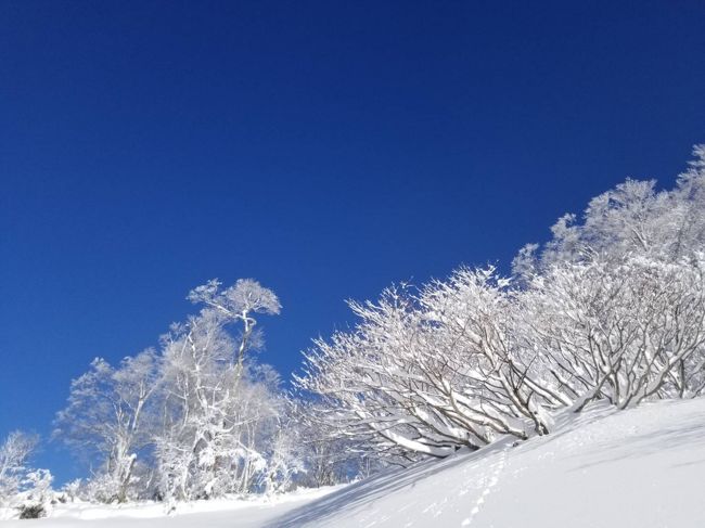 スキーもさることながら、素晴らしい景色に感激！！