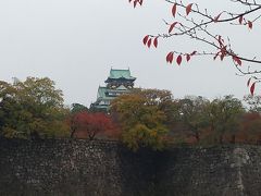 大阪城公園で紅葉見物