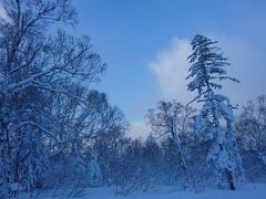 201912,初滑りテイネスキー場は暴風極寒,年明け札幌国際スキー場は晴れ！