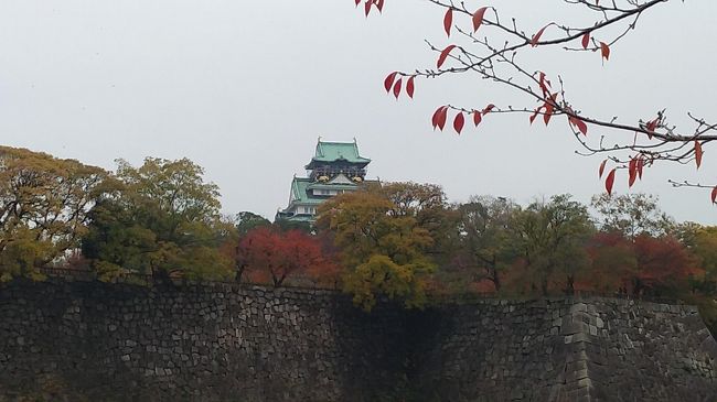 関西に住んでいても、大阪城公園には行ったことが無かったので、紅葉見物に出かけてみた。