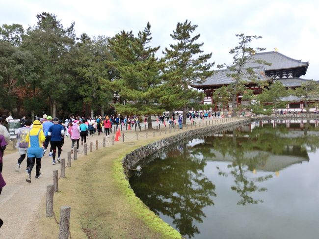 奈良マラソン2019、今年も参加してきました。7日に大会受付と3キロジョギング。8日に10キロコース参加とフルマラソンの応援を楽しんできました。この旅行記では10キロコースに参加した模様と、フルマラソン応援の場面をご紹介します。10キロコースは春日山山中の山道を走ったり、東大寺の大仏殿の前を走ったりと、普通のロードを走る大会とは思えないような変化に富んだコースで1時間少々ではありますが未だ紅葉が残る初冬の奈良を満喫してきました。