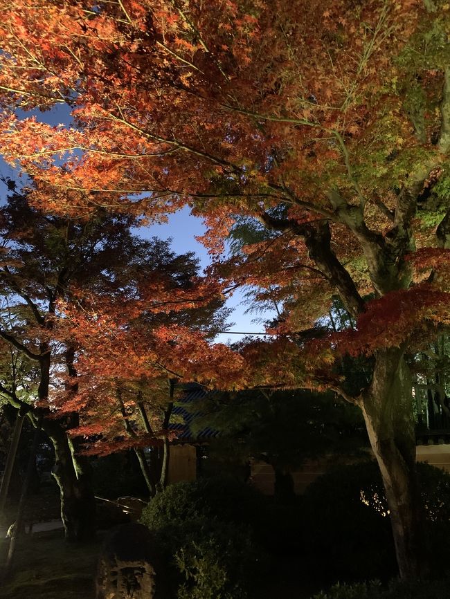 京都の街並みや金閣寺、紅葉ライトアップを楽しみに行きました。<br />氷で冷やさないと形を保てない絶品わらびもちや、ライトアップされた紅葉は最高でした！