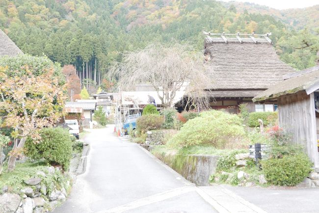 毎年恒例の秋の京都旅行です。<br />　毎年１１月中旬から下旬にかけての金土日の２泊３日の京都紅葉狩りです。<br />このところ、金曜日の仕事帰りに京都入り、翌土曜日はちゃんと計画を立てて、最終日はノープラン。滞在中に宿屋の女将と相談して、最終日はその時に一番良さそうなところを訪ねるのが定番となっています。<br /><br />　今年は、旅行雑誌によく載っている「茅葺の里　美山」に行ってみたいと思い、色々調べた結果なかなか公共交通機関を使っていくのは大変だけど、この季節だけ京都駅から直通バスが運行されていることがわかりました。運行会社の京阪バスに電話したところ、あと３席空いていますとのこと！ラッキー！<br />　<br />　ということで、２０１９秋の京都旅行の始まりです。<br /><br />１日目：<br />　・夕方に京都の旅館で合流。<br />　・旅館近くの割烹料理屋で夕食。<br />　・早めの就寝。<br /><br />２日目：<br />　・平安神宮へ早朝の散歩<br />　・タクシーで京都駅へ移動<br />　・京都駅八条口から京阪バスで美山へ<br />　・美山散策（途中昼食）<br />　・美山の造り酒屋から京阪バスで京都駅へ<br />　・宿屋に戻って、和菓子のお八つ<br />　・市内の小料理屋で夕食<br />　・行きつけのバーでマスターと旧交を温める<br />　・遅めの就寝