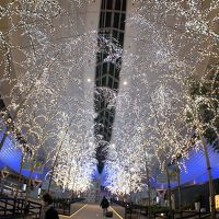 東京横浜の夜景を満喫＋王道を観光する旅　プロローグ