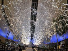 東京横浜の夜景を満喫＋王道を観光する旅　プロローグ