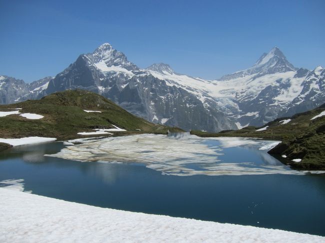 灼熱のGrindelwald★あかんたれ２人旅★Bachalpseeは天然クーラー天国