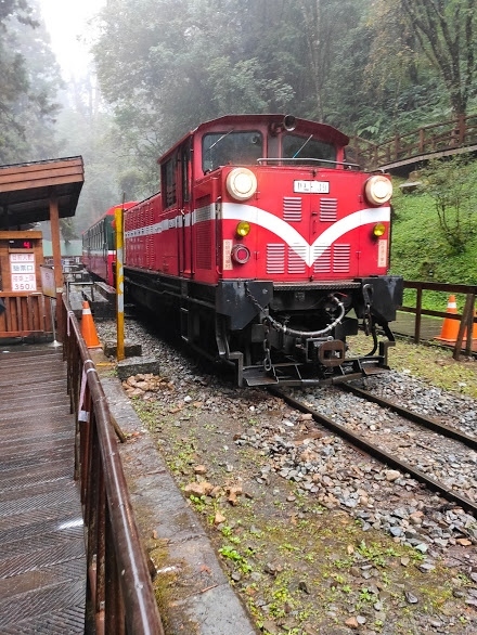 今回の目的は台中観光で特に阿里山鉄道にて自然を満喫することである。