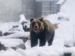 初詣の後は 動物園でモグモグタイム