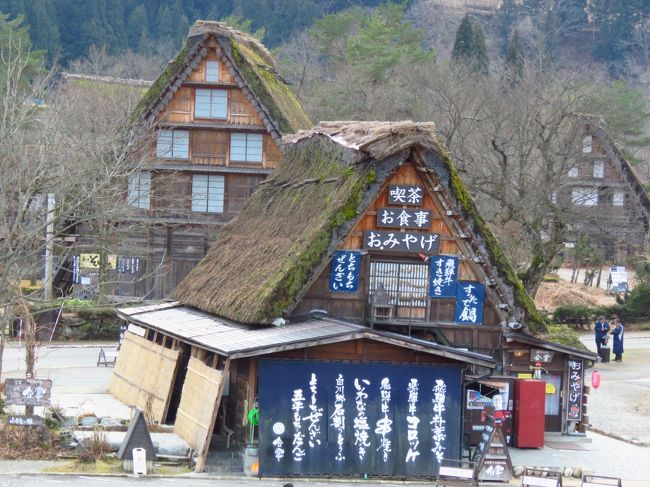 新年早々にミステリーツアーで向かった所が雪が無い白川郷でした！<br /><br />日程表には・・・スノーブーツなど滑りにくい靴でご参加ください。との事！<br />夫婦でお揃いのブーツを今日の為に買いました！・・・だが！残念ながら？<br />雪はまったくありませんでした(#^.^#)<br /><br />時間があれば・・・こちらもご覧ください！<br />ミステリーツアーで出かけたら飛騨高山でした！<br />https://4travel.jp/travelogue/11582880<br /><br />