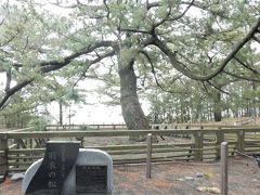 静岡への旅（新版）その１