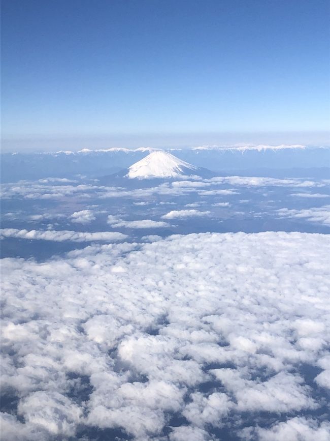 1月2日から2泊3日での沖縄旅行<br />皆んなな休みがあったのと、母も高齢になりなかなかな一緒に旅行に行けなくなるだろうからと、計画しました。<br />JAL907便8時50分発少し遅れて出発でしたが、定刻に到着。<br /><br />かなりの人がいてびっくり。那覇行きは飛行機多いみたいのにびっくりしました。<br />主人と娘は初沖縄、母、息子、私は何回目かの沖縄<br /><br />飛行機、ホテル別手配で、1人53000円位<br />ホテルは沖縄ハーバービュー2泊朝食付き<br />オリックスレンタカー3日間　18000円ガソリン別<br />那覇空港に着きレンタカーまでバスで移動<br />手続き後車にてひめゆりの塔の南部へ出発<br />ひめゆりの塔、資料館見学後、平和記念公園を一周して琉球ガラス村へこちらは下車して見学とアウトレットでコップを買って、次に<br />斎場御嶽へ行ってみましたが、時間的に終わっていたのと、入り口からかなり歩くみたいだったので<br />中には入れず、入らず、、入り口で写真と売店でもずくの天ぷら、サータアンダギーを買って食べて<br />帰路へ、ホテルに向かいました。ホテルには6時過ぎぐらいに到着<br />5階と7階に分かれてしまいましたが、スーペリアツインで、バスタブありのお部屋でした。<br />7時からから夕食を食べに国際通りまで歩いて行き<br />裏の方のお店はお休みが多く、子供達が調べていたお店は休みで、、通りかがりで開いていた沖縄料理のお店にて、、食事をして、歩いてホテルへ戻り1日目無事に終了<br />