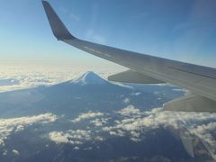 令和2年元旦　空の旅　HND=NGO　JAL201　”富士山見えました”