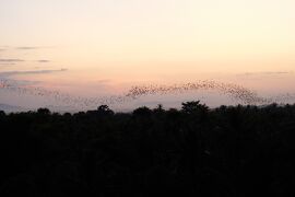 カンボジア＆ラオス＆タイ旅行⑤　バッタンバン編　バス旅＆コウモリの洞窟＆サンセット