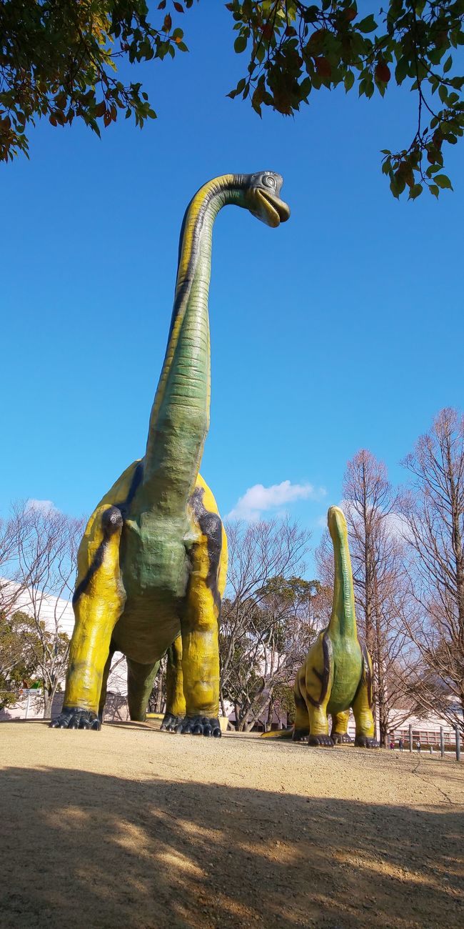 い の ん パーク ほ