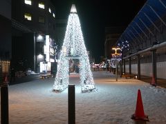 寒さが美しさを際立たせる旭川のイルミネーション。