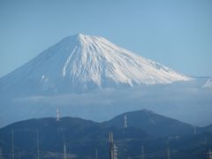 2020年元旦３ヶ日のミニ旅行記：静岡の動物園遠征２日間から３日に延期した近所の神社の初詣まで